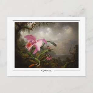 Martin Johnson Heade #45 - Carte postale d'art fin