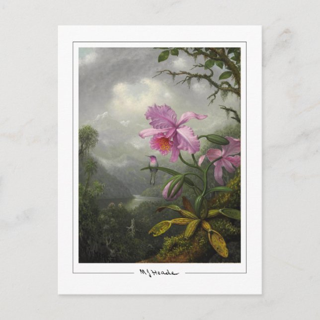 Martin Johnson Heade #4 - Carte postale Art (Devant)