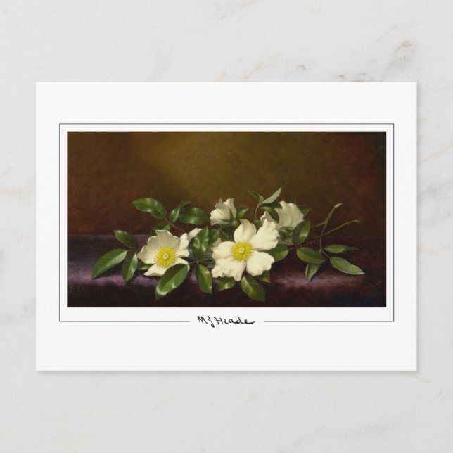 Martin Johnson Heade #52 - Fine Art Postcard (Front)