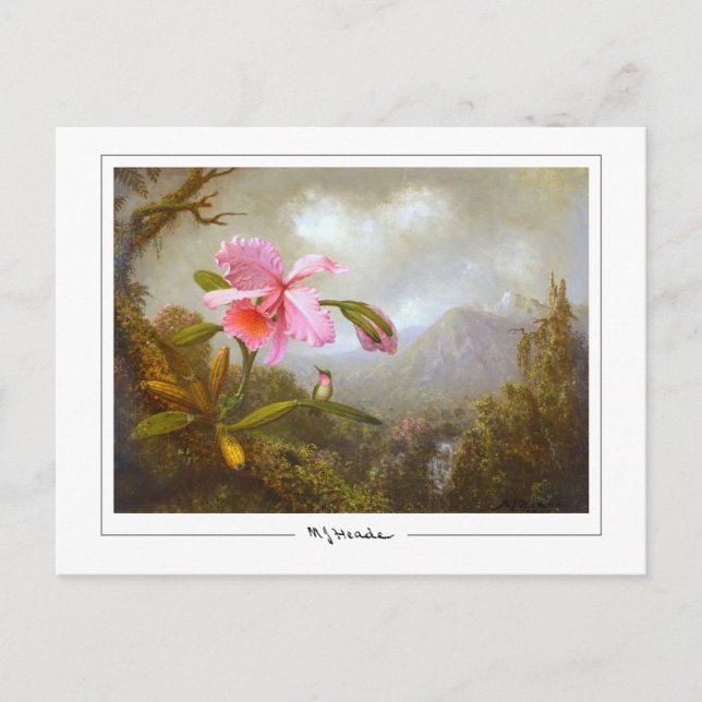 Martin Johnson Heade #8 - Fine Art Postcard (Front)