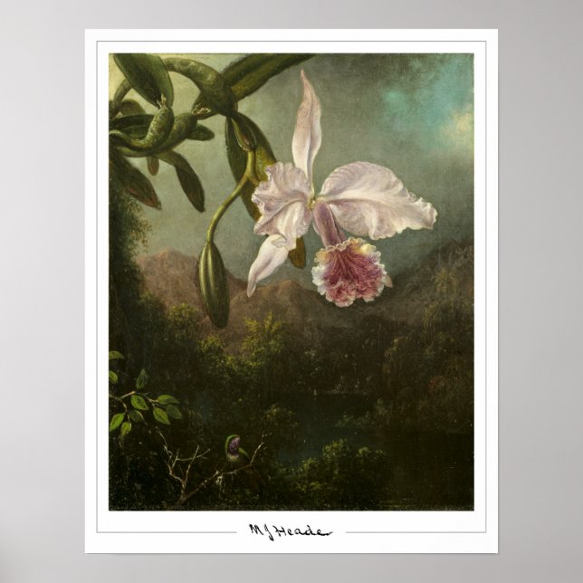 Martin Johnson Heade Affiche d'art Zedign #2 (Devant)