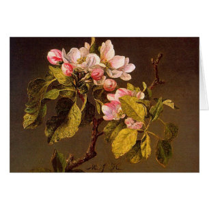Martin Johnson Heade - fleurs d'Apple
