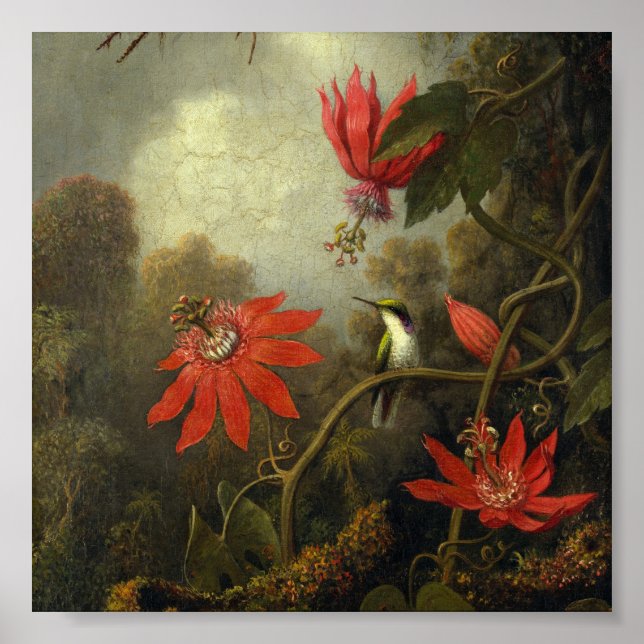 Martin Johnson Heade - Hummingbird And Passion Poster (Front)