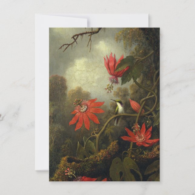 Martin Johnson Heade - Hummingbird Thank You Card (Front)