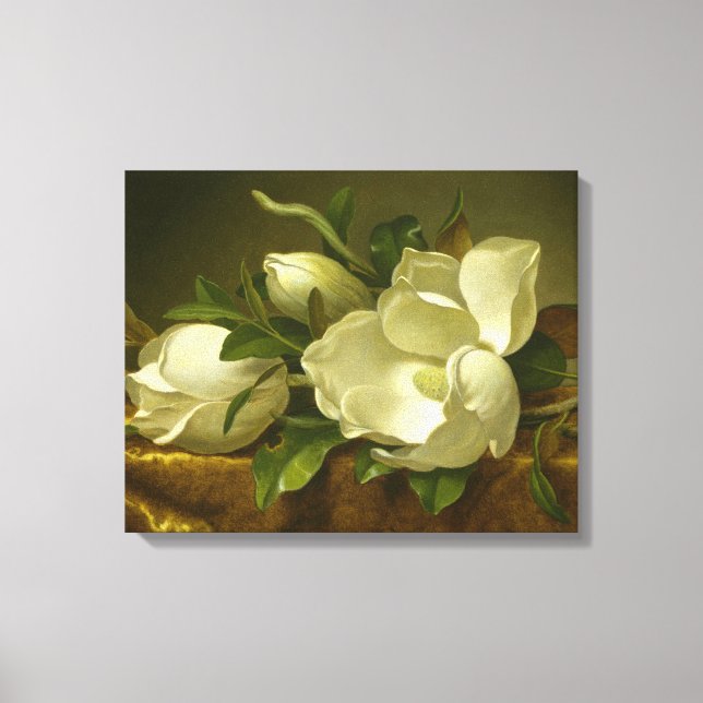 Martin Johnson Heade - Magnolias on Gold Velvet Canvas Print (Front)