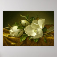 Martin Johnson Heade - Magnolias on Gold Velvet