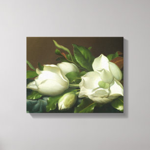 Martin Johnson Heade - Magnolias on Light Blue Canvas Print