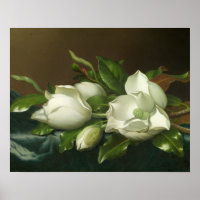 Martin Johnson Heade - Magnolias on Light Blue