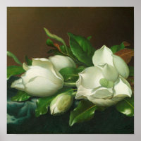 Martin Johnson Heade - Magnolias