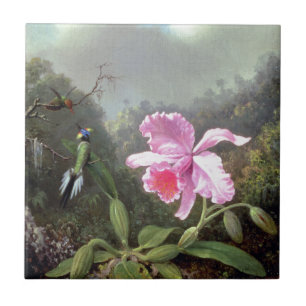 Martin Johnson Heade Orchid And Hummingbirds Tile