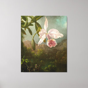 MARTIN JOHNSON HEADE - Orchid Blossoms - 1873 -  Canvas Print