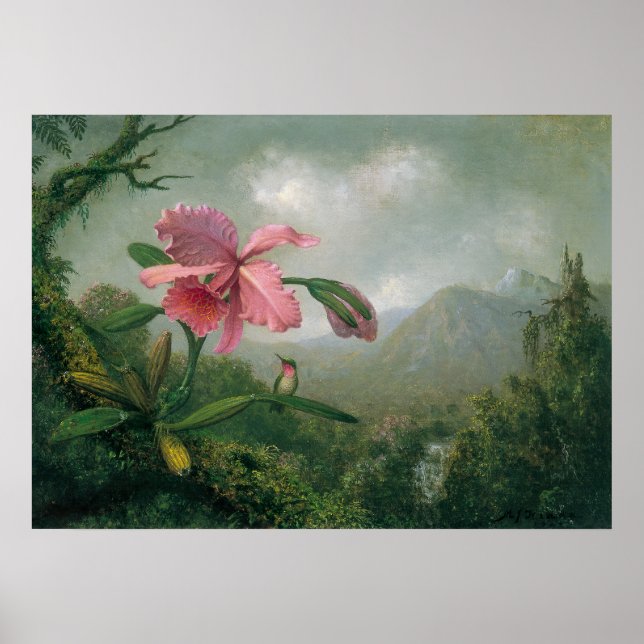 Martin Johnson Heade – Orchid with Two Hummingbird Poster (Front)