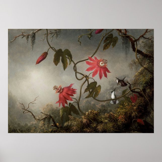 Martin Johnson Heade - Passion Flowers and Humming Poster (Front)