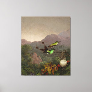 MARTIN JOHNSON HEADE - Racket-Tail, Brazil - 1865 Canvas Print