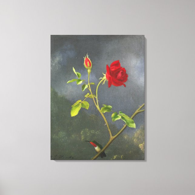 MARTIN JOHNSON HEADE - Red Rose with Ruby Throat - Canvas Print (Front)