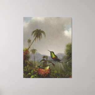 MARTIN JOHNSON HEADE - TWO THORN-TAILS - 1864-65 - CANVAS PRINT