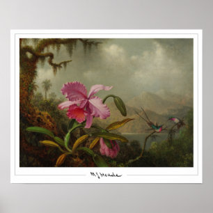 Martin Johnson Heade Zedign Affiche d'art #51