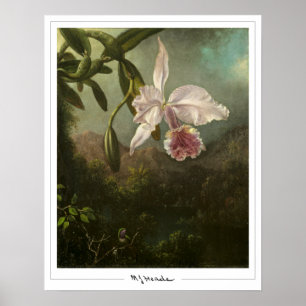 Martin Johnson Heade Zedign Art Poster #2