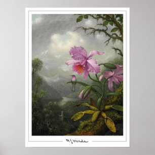 Martin Johnson Heade Zedign Art Poster #4