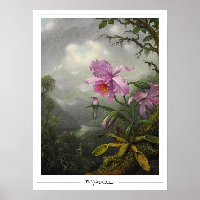 Martin Johnson Heade Zedign Art Poster #4 (Front)