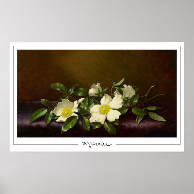 Martin Johnson Heade Zedign Art Poster #52 (Front)