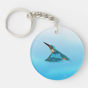 martin-pêcheur oiseau