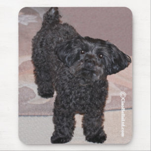 Martini the Yorkie-Poo Mouse Pad