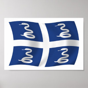 Martinique Flag Poster Print