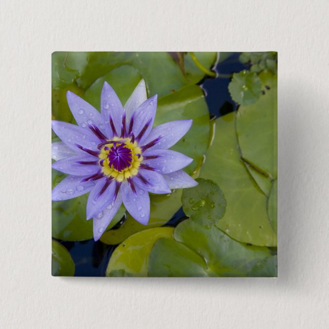 Martinique, French Antilles, West Indies, Blue 2 Inch Square Button (Front)