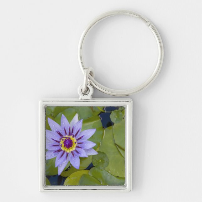 Martinique, French Antilles, West Indies, Blue Keychain (Front)