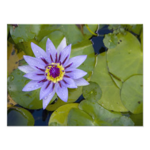 Martinique, French Antilles, West Indies, Blue Photo Print