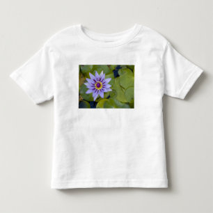 Martinique, French Antilles, West Indies, Blue Toddler T-shirt