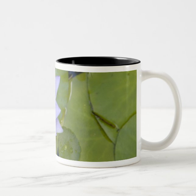 Martinique, French Antilles, West Indies, Blue Two-Tone Coffee Mug (Right)