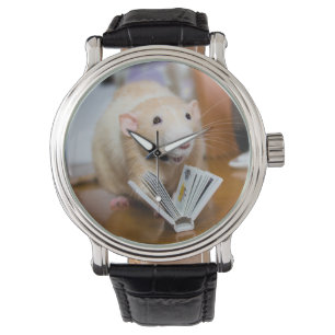 Marty Mouse I Love to Read Watch