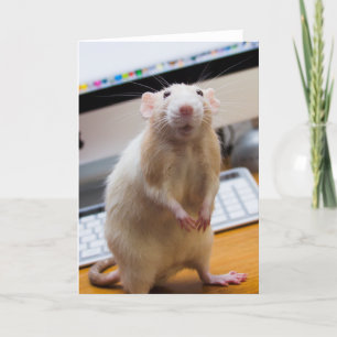 Marty Mouse Standing Up Greeting Card