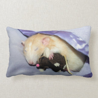 Marty Sleeping with RatTeddy 16x16 Pillow