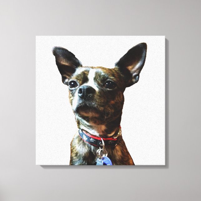 Marv-man Canvas Print (Front)