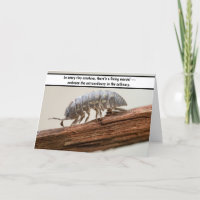 “Marvel in Miniature - The Woodlouse Wonder”