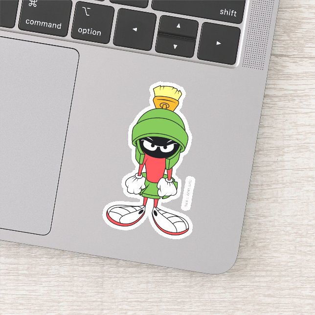 MARVIN THE MARTIAN™ Upset (Detail)