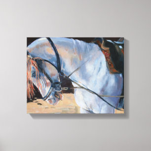 Marwari Horse Rajasthan 2010 Canvas Print