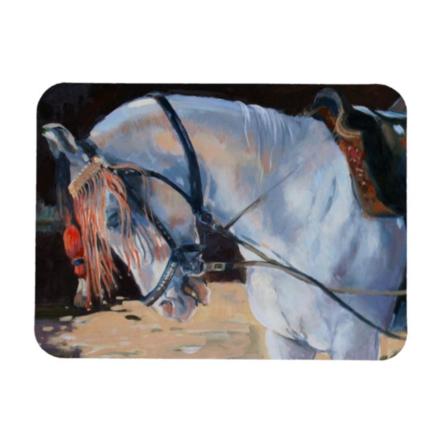 Marwari Horse Rajasthan 2010 Magnet (Horizontal)