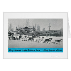 Mary Hansen & Siberians w/ Airplane