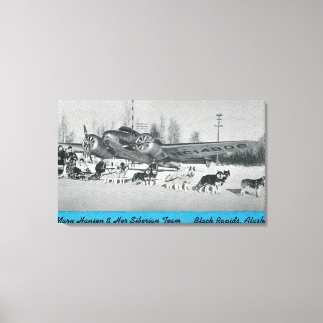 Mary Hansen & Siberians w/ Airplane Canvas Print (Front)