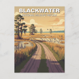 Maryland Blackwater National Wildlife Refuge Postcard