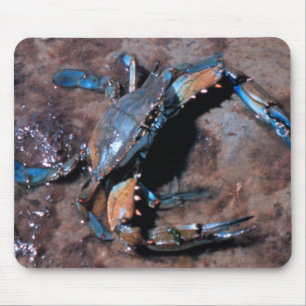 Maryland Blue Crab Mouse Pad