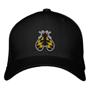 Maryland Brood X Cicada Black Casquette 