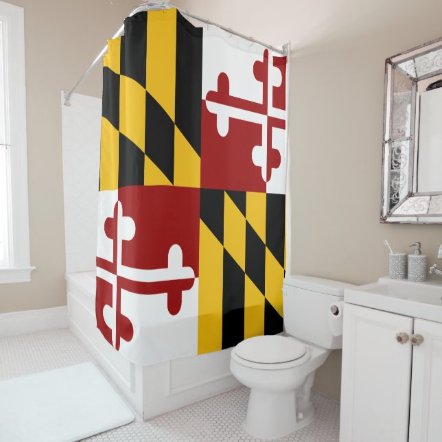 Maryland flag (In Situ)