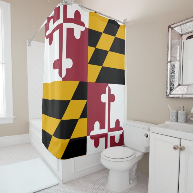 Maryland Flag (In Situ)