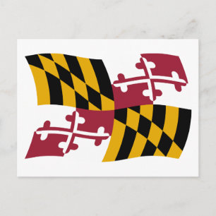 Maryland Flag Postcard