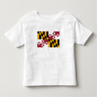 Maryland State Flag